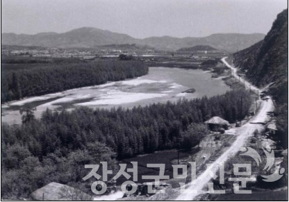 1960년 태화강 대밭